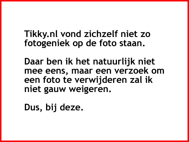 tikky.nl!