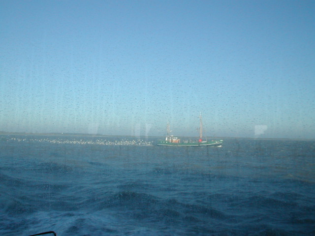 Prachtig uitzicht door de schone ramen van de veerboot