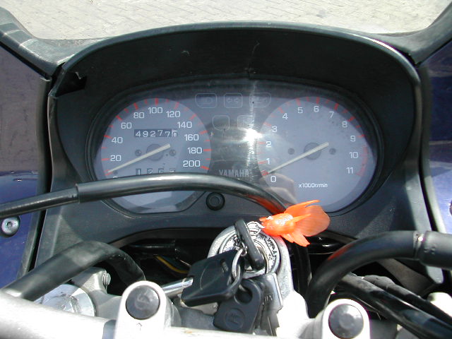 M'n dashboard.. *kuch* .. jaja.