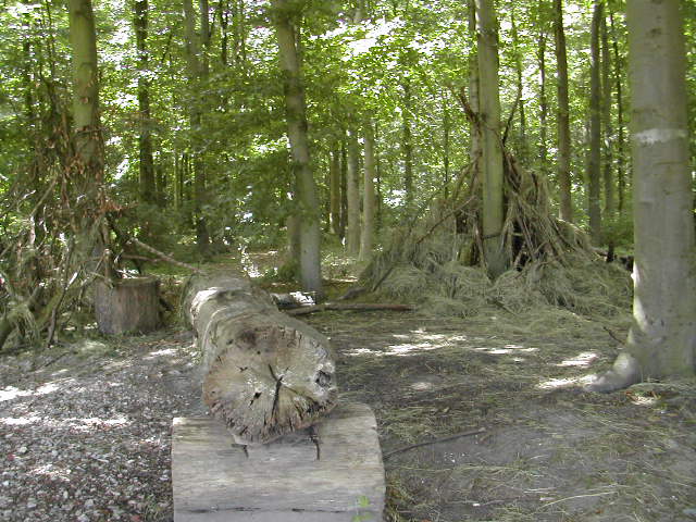 The Blair Witch Project ??