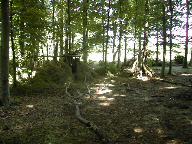The Blair Witch Project ??