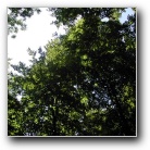 [Click to enlarge image]