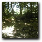 [Click to enlarge image]