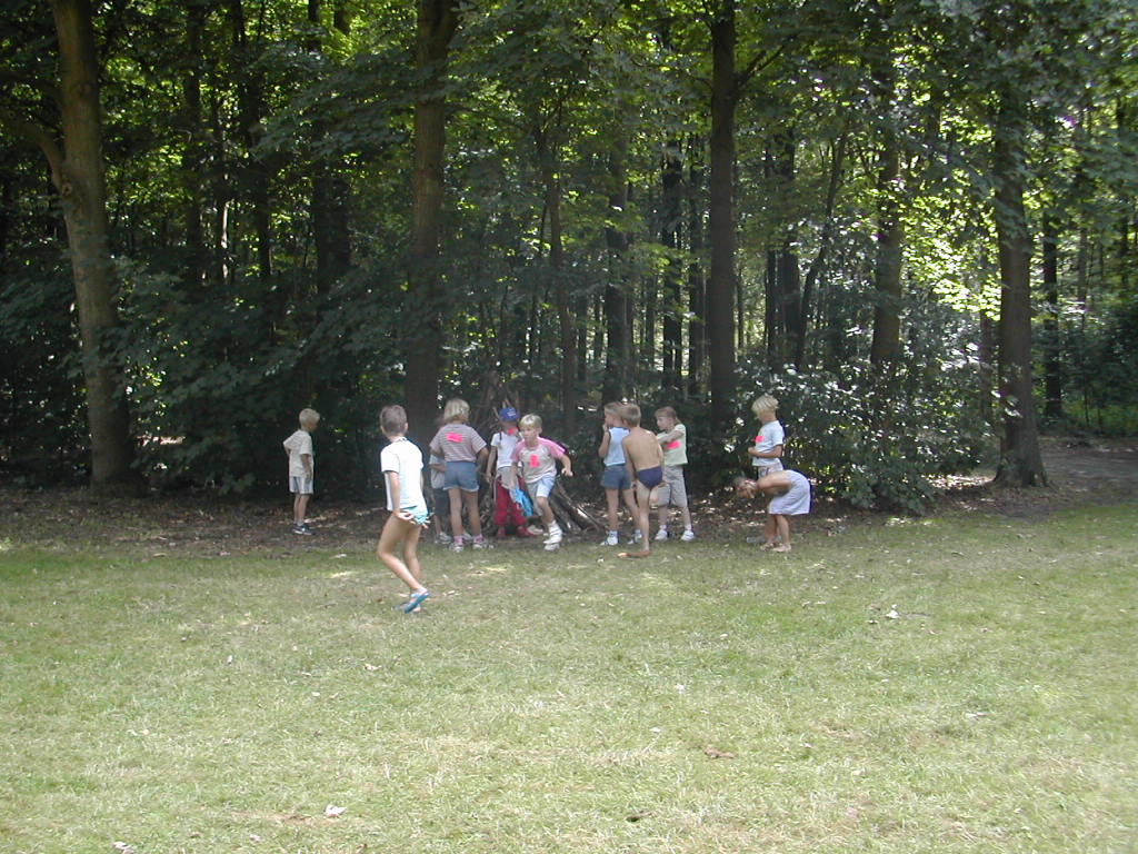 Groep roze op hun eigen plek...