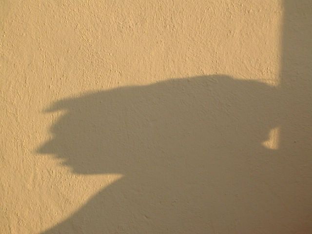 Schaduw van Louwrens
