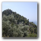 [Click to enlarge image]