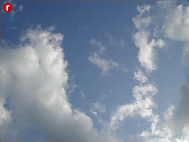 DSCN8748