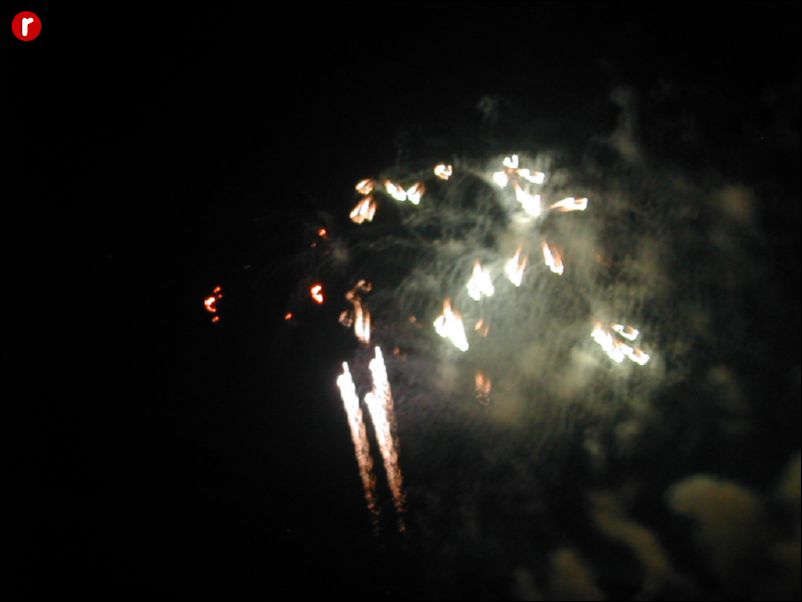 DSCN9133