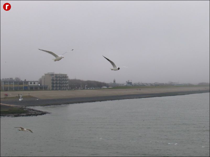 IMG_0021