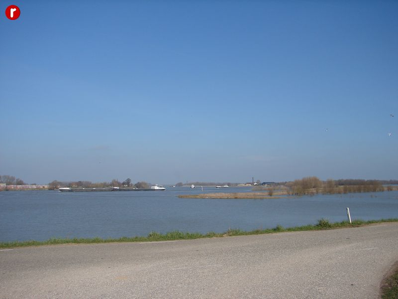 DSC03515