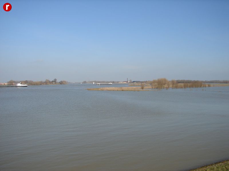 DSC03516