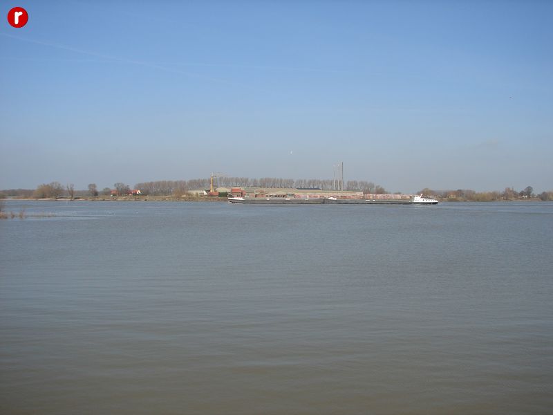 DSC03517