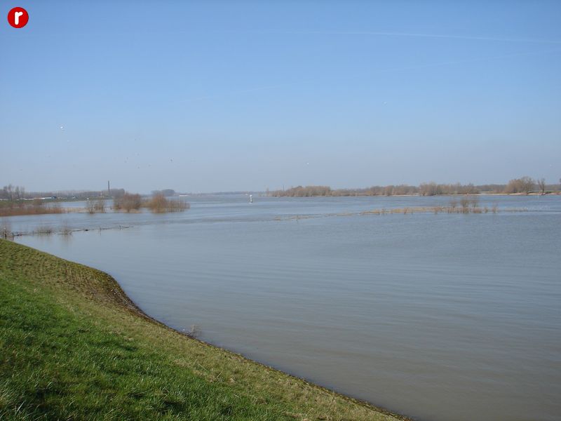 DSC03518
