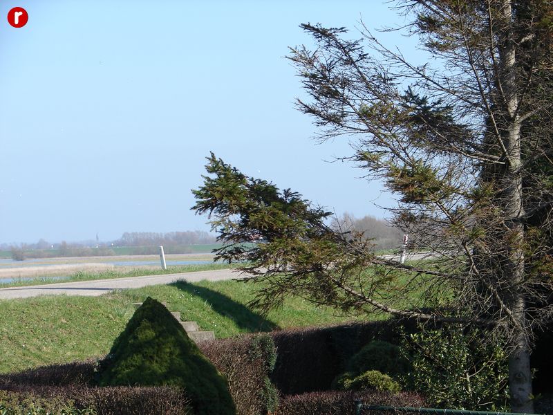 DSC03522