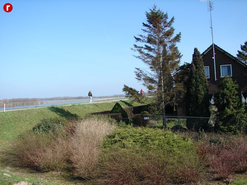 DSC03524