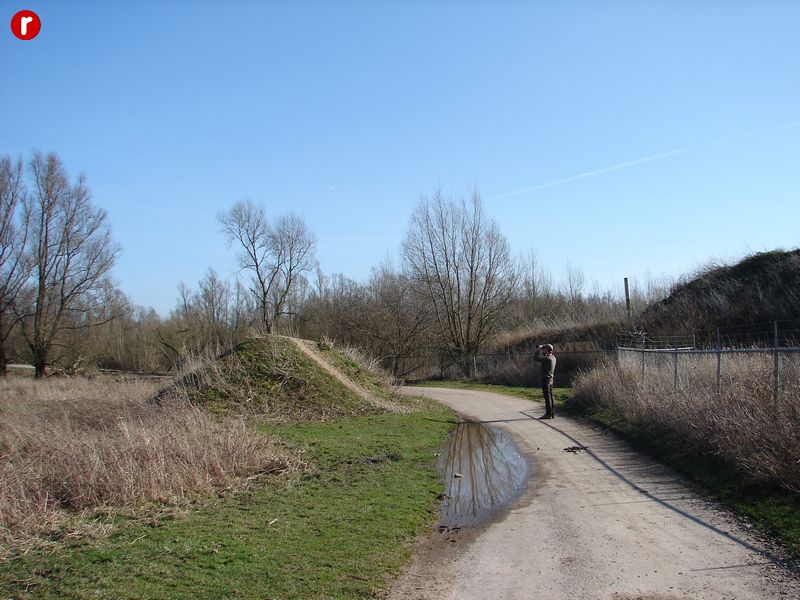 DSC03541