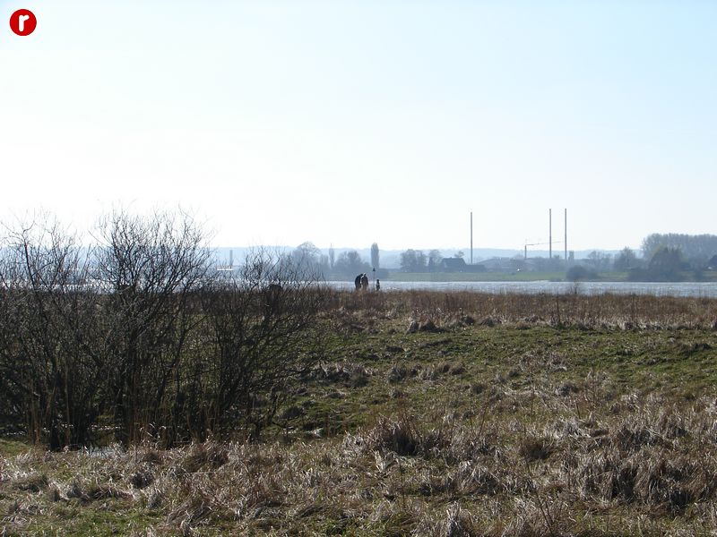 DSC03549
