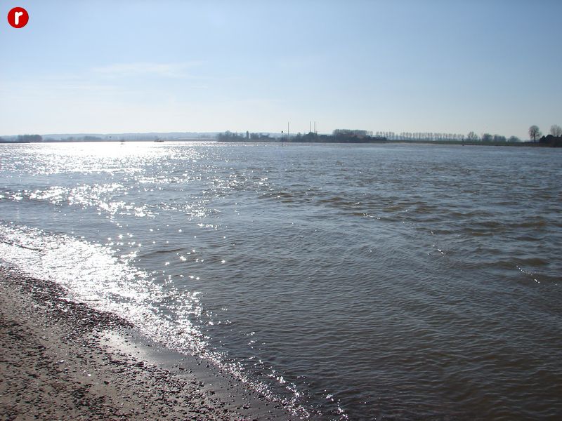 DSC03561