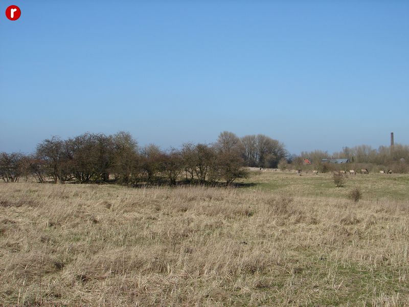 DSC03580