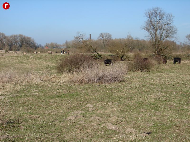 DSC03581