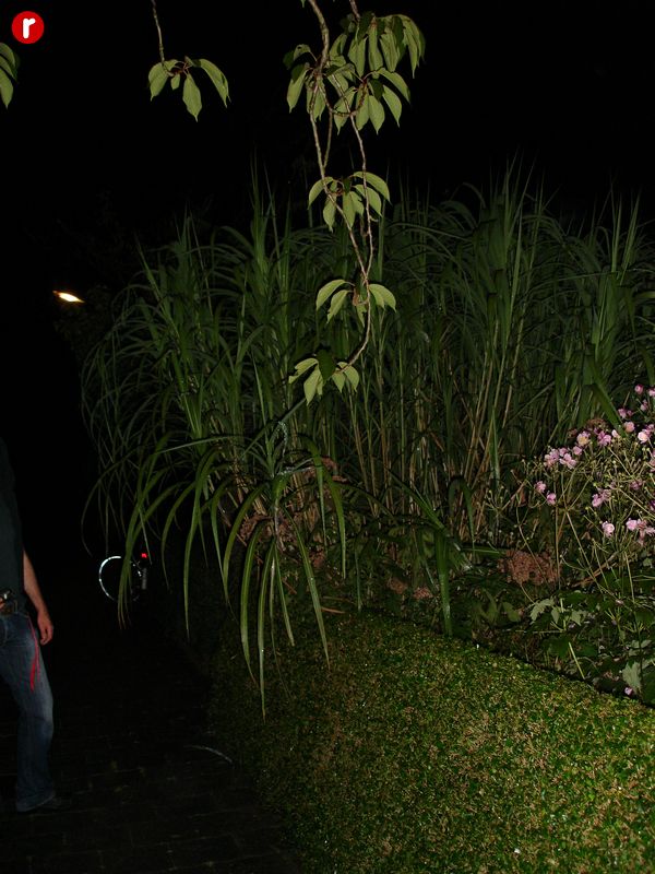 DSC04950